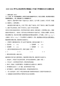 2023-2024学年山东省菏泽市鄄城县八年级下学期期末语文试题及答案