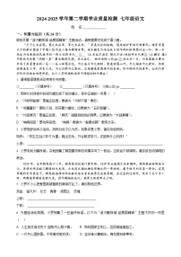七年级下学期期末语文试题（原卷+答案解析）2024-2025学年 第二学期 （统编版）