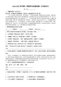 七年级下学期期末语文试题（原卷+答案解析）2024-2025学年 第二学期 （统编版）