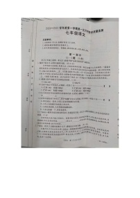 河北省保定市高碑店市2024-2025学年七年级上学期10月月考语文试题