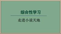 人教部编版（2024）九年级上册走进小说天地教学课件ppt