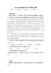 2025年山东省临沂市中考三模语文试题（附答案解析）