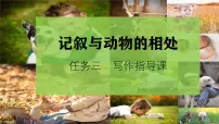 人教部编版（2024）七年级上册（2024）记述与动物的相处教课内容课件ppt