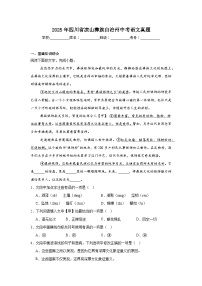 2025年四川省凉山彝族自治州中考语文真题（附答案解析）