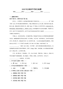 2025年云南省中考语文真题（附答案解析）