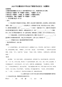 2025年安徽省合肥市蜀山区琥珀教育集团中考三模语文试题（含答案）