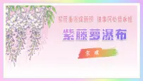 初中语文人教部编版（2024）七年级下册（2024）紫藤萝瀑布教学ppt课件