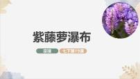 初中语文人教部编版（2024）七年级下册（2024）紫藤萝瀑布评课ppt课件