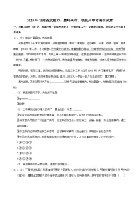 2025年甘肃省武威市、嘉峪关市、临夏州中考语文试卷及答案