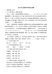 2025年云南省中考语文试卷及答案