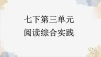 初中语文人教部编版（2024）七年级下册（2024）阅读综合实践课文内容ppt课件