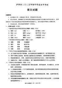 2025年四川省泸州市中考语文真题学业水平考试