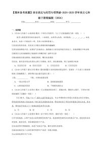 【期末备考真题】语言表达与应用专项突破-语文7年级下册统编版（含解析）