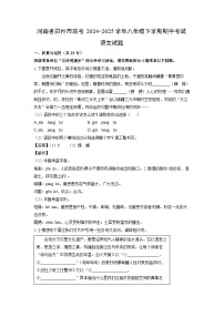 河南省郑州市联考2024-2025学年八年级下学期期中考试语文试卷（解析版）