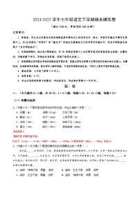 七年级语文期末模拟卷（天津专用，下册1~6单元）2024-2025学年初中下学期期末模拟考试
