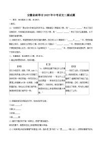 安徽省蚌埠市2025年九年级中考语文三模试题（含答案）