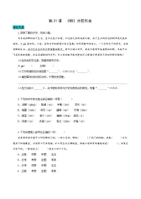 初中语文人教部编版（2024）八年级上册蝉精练