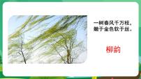 语文八年级上册（2018）白杨礼赞评课课件ppt