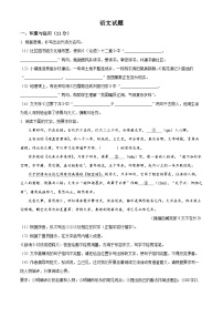 2025年福建省中考语文真题(含详细解析)