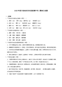 四川省南充市名校联测2025届九年级下学期中考三模语文试卷（含答案）
