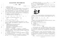 河南省新乡市名校联考2024-2025学年七年级下学期6月期末语文试题
