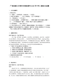 广东省湛江市雷州市四校联考2025年中考三模语文试题（含答案）