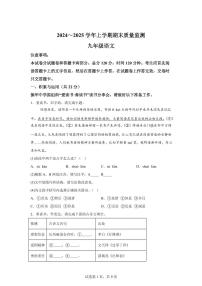 河南省长葛市2024~2025学年九年级上学期期末语文试题（含解析）