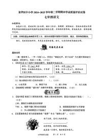 2024-2025学年广东省深圳市龙华区七年级下学期期末考试语文试题