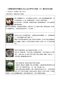 云南省昆明市官渡区2024-2025学年七年级（下）期末语文试卷