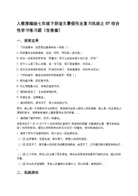 人教部编版七年级下册语文暑假作业复习巩固之07综合性学习练习题