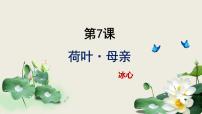 初中语文人教部编版（2024）七年级上册（2024）荷叶·母亲/冰心示范课ppt课件