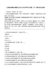 山东省济南市莱芜区2024-2025学年七年级下学期期末语文试卷（含答案）