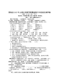 湖南省株洲市茶陵县2024-2025学年六年级下学期期末考试语文试题（含答案）