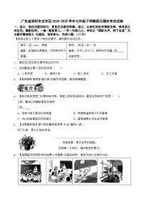 广东省深圳市龙华区2024-2025学年七年级下学期语文期末考试试卷（含答案）