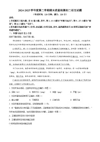 山东省青岛市莱西市2024-2025学年七年级下学期期末语文试题（解析版）