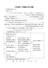 【9语期中】合肥市长丰新桥中学2024—2025学年九年级上学期期中语文试卷