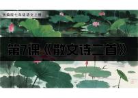 初中语文人教部编版（2024）七年级上册（2024）第二单元7* 散文诗二首荷叶·母亲/冰心背景图课件ppt