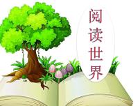 语文人教部编版（2024）台阶课堂教学ppt课件