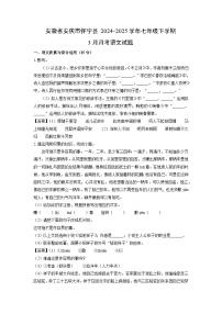 安徽省安庆市怀宁县2024-2025学年七年级下学期下6月月考语文试卷（解析版）