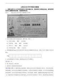 山东省2025年中考语文真题试题卷及同步解析