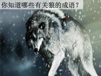 初中语文狼/蒲松龄课前预习ppt课件