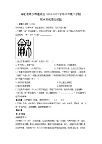 【语文】湖北省咸宁市通城县2024-2025学年八年级下学期期末考试试题（解析版）