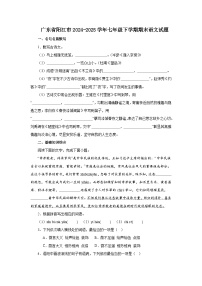广东省阳江市2024-2025学年七年级下学期期末语文试题