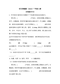 语文人教部编版（2024）雨的四季/刘湛秋优秀练习
