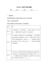 2025年广东省中考语文真题（附答案解析）