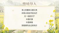 初中人教部编版（2024）散步/莫怀威精品ppt课件