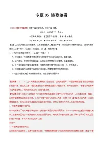 2025年中考语文真题分类汇编（全国通用）专题05 诗歌鉴赏（第1期）（解析版）