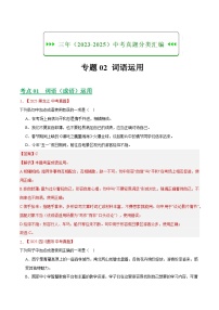 三年（2023-2025）中考语文真题分类汇编：专题02 词语运用（全国通用）（解析版）