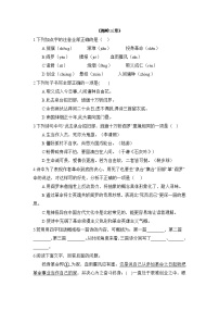 初中语文人教部编版（2024）七年级上册（2024）梅岭三章/陈毅当堂检测题