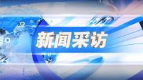 初中语文人教部编版（2024）八年级上册（2024）第一单元任务二 新闻采访完美版ppt课件